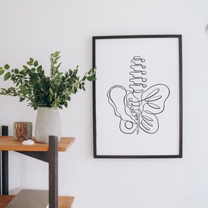 May include: A black framed print with a line drawing of a human spine and pelvis. The print is hanging on a white wall above a wooden shelf.