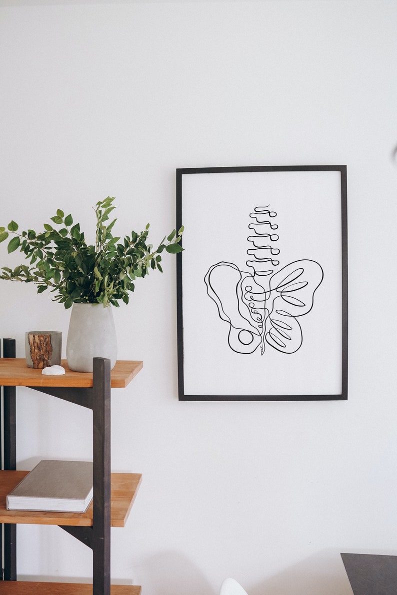 May include: A black framed print with a line drawing of a human spine and pelvis. The print is hanging on a white wall above a wooden shelf.