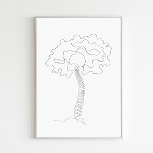 Chiropractic Art Spine Art Print Physical Therapy Art Spine Anatomy Art Print Chiropractic Poster Human Anatomy Print Chiropractor Gift