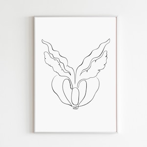 May include: A line drawing of a single flower with a large bulb and two leaves. The drawing is in black ink on a white background.