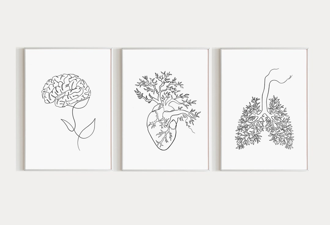 Brain Heart Lungs 3 Piece Wall Art, Human Anatomy Set of Three, Brain ...