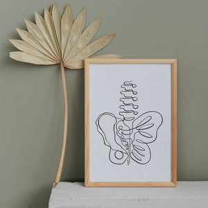 May include: A framed black and white line drawing of a human pelvis and spine, with the spine resembling a butterfly. The frame is made of light wood and is sitting on a white surface.