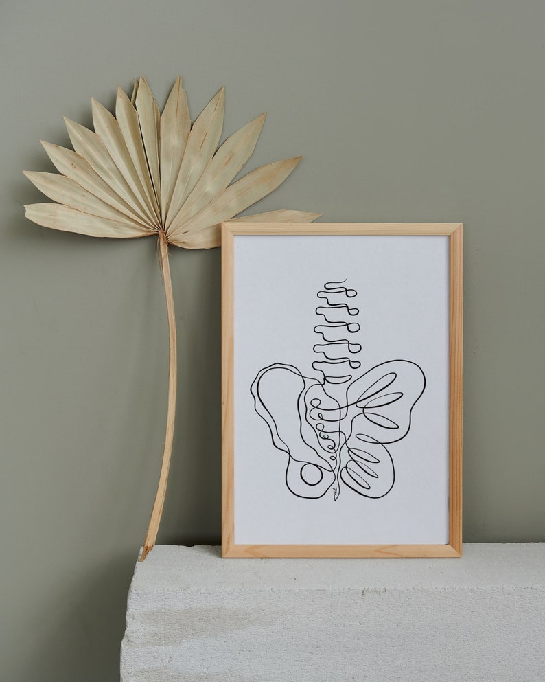 May include: A framed black and white line drawing of a human pelvis and spine, with the spine resembling a butterfly. The frame is made of light wood and is sitting on a white surface.