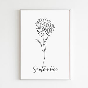 Stampa artistica con fiori di nascita di Aster, stampa artistica da parete con fiori del mese di nascita di settembre, disegno floreale a linee, disegno botanico a linee