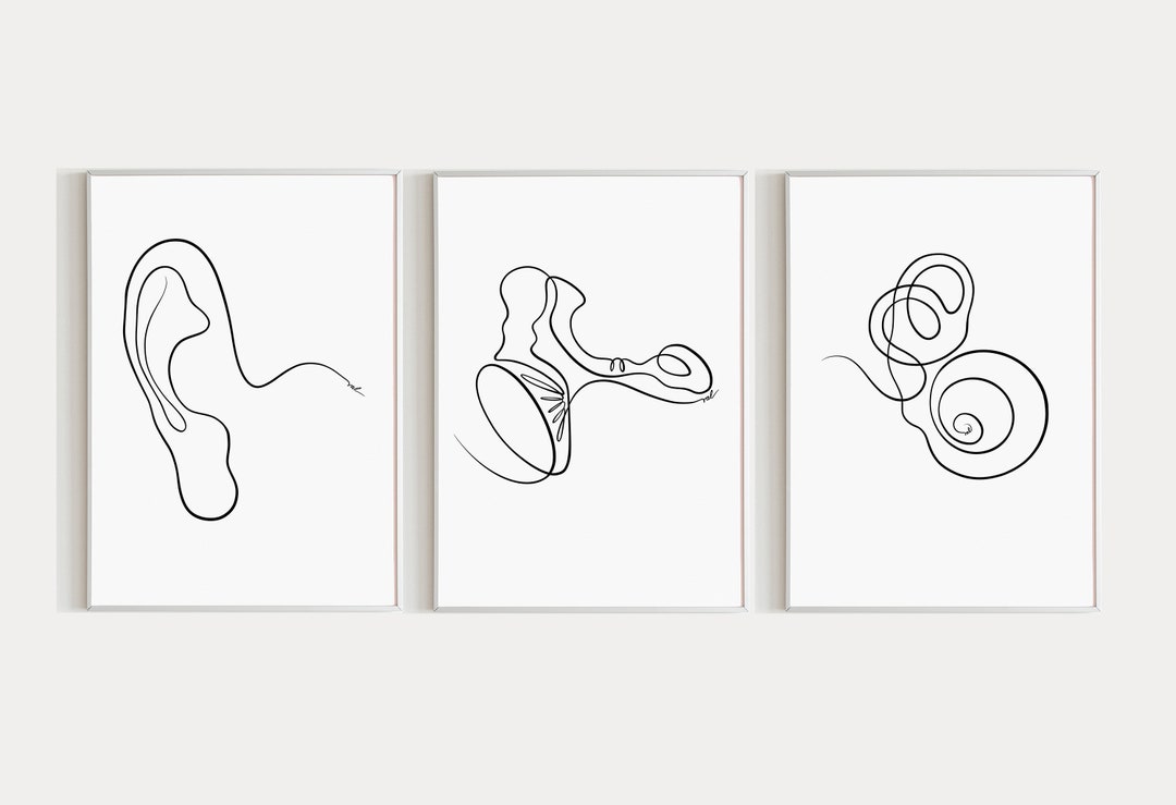 Ear Anatomy Art Print Audiology Set of 3 Outer Middle and Inner Ear Art ...