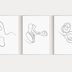 Ear Anatomy Art Print Audiology Set of 3 Outer Middle and Inner Ear Art 3 Piece Wall Art Cochlea Printable Human Anatomy Print