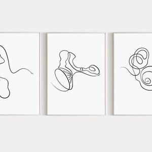 Oor anatomie Art Print audiologie set van 3 buitenste midden- en binnenoor kunst 3-delige muur kunst slakkenhuis afdrukbare menselijke anatomie print