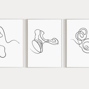 Ear Anatomy Art Print Audiology Set of 3 Outer Middle and Inner Ear Art 3 Piece Wall Art Cochlea Printable Human Anatomy Print