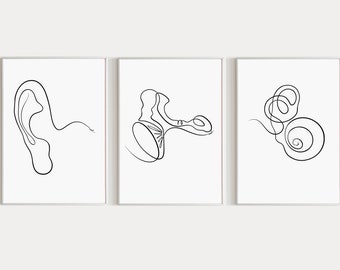 Ear Anatomy Art Print Audiology Set of 3 Outer Middle and Inner Ear Art 3 Piece Wall Art Cochlea Printable Human Anatomy Print