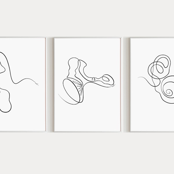 Oor anatomie Art Print audiologie set van 3 buitenste midden- en binnenoor kunst 3 stuk muur kunst slakkenhuis afdrukbare menselijke anatomie print