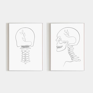 Cervical Spine Set Of 2 Wall Art Prints Vertebrae Physical Therapist Gift for Chiropractor Art Physical Therapy Anatomy Posters