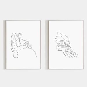 Human Ear Throat Anatomy Wall Art Set Of 2 Prints ENT Posters Two Piece Speech Therapy Office Decor Medical Clinic Gift For Otolaryngologist