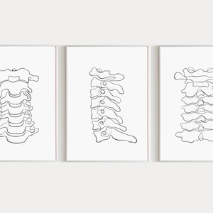 Cervical Spine Set Of 3 Wall Art Prints Vertebrae Physical Therapist Gift for Chiropractor Art Physical Therapy Anatomy Posters