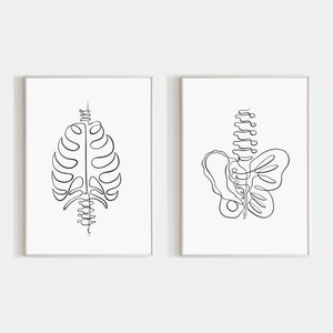 Physiotherapie 2er-Set Wand-Kunstdrucke, Wirbelsäule Beckenboden-Druck, Brustkorb druckbar, abstrakte Becken-Linie Kunst, chromactic Poster