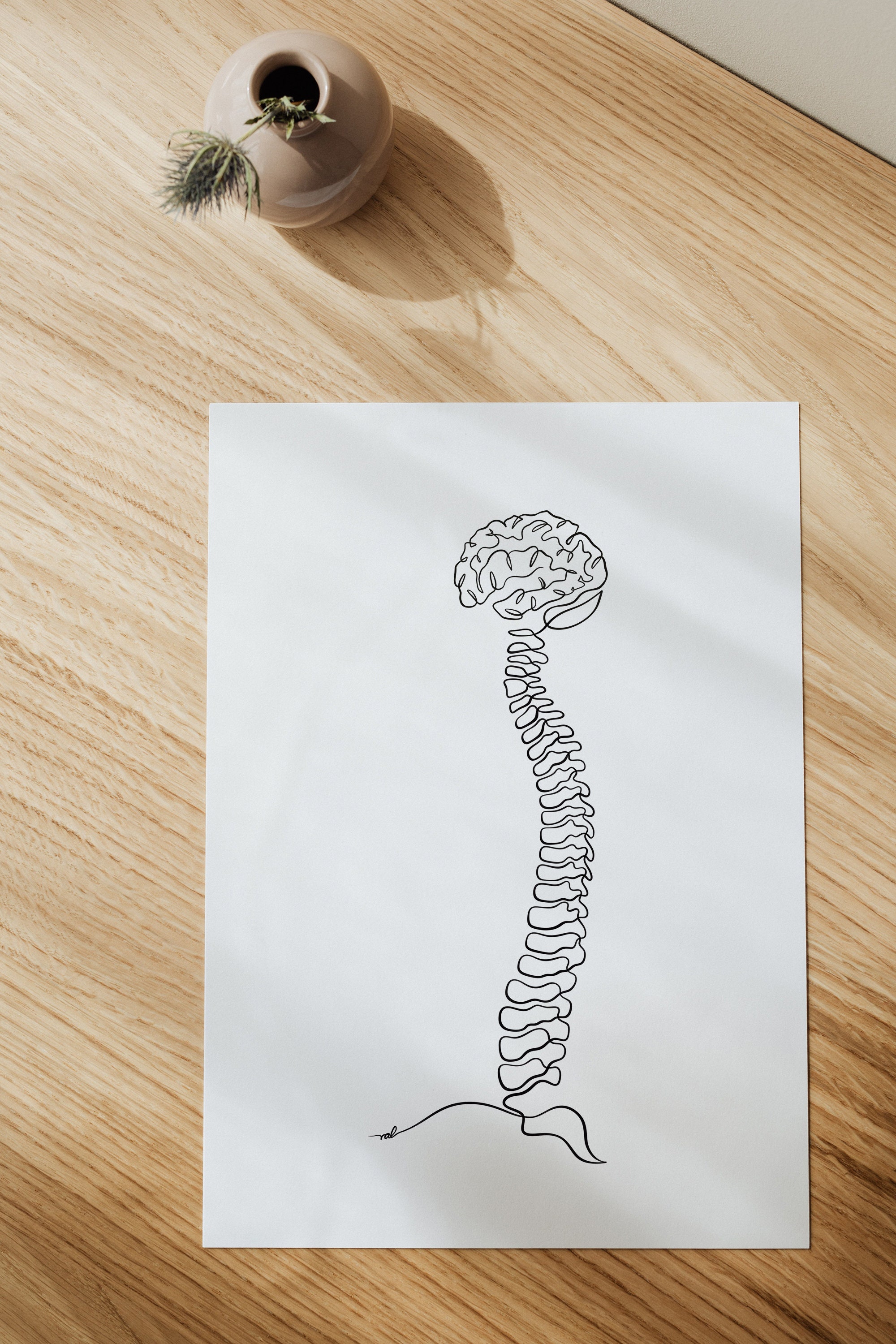 Spine Brain Anatomy Art Print, Chiropractic Wall Decor Digital, Human ...