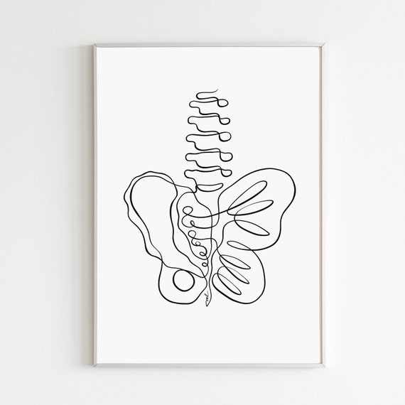 Spine Pelvic Floor Print, Physical Therapy Art, Pelvic Health Art, Abstract Pelvis Line Art, Chropractic Poster Physical Therapy