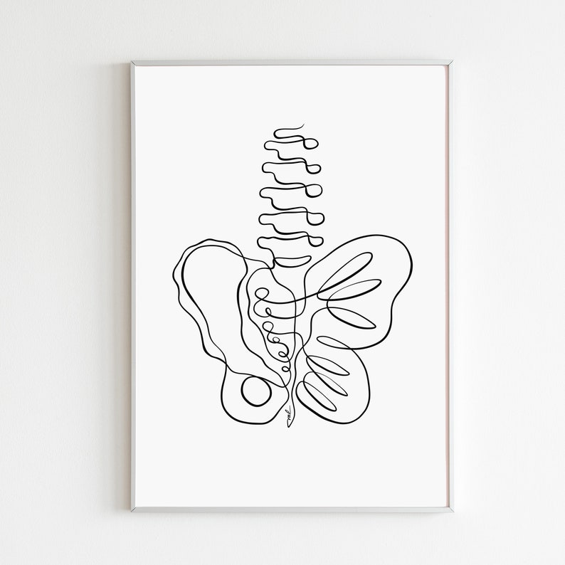 May include: Line art drawing of a human pelvis and spine in black on a white background.