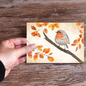 Robin sentado en una rama durante el otoño, dibujo a mano, impreso Postal
