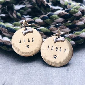 May include: Two gold dog tags with engraved names "Hugo" and "Teddy" and a paw print. The tags are attached to a green, white, and black rope.