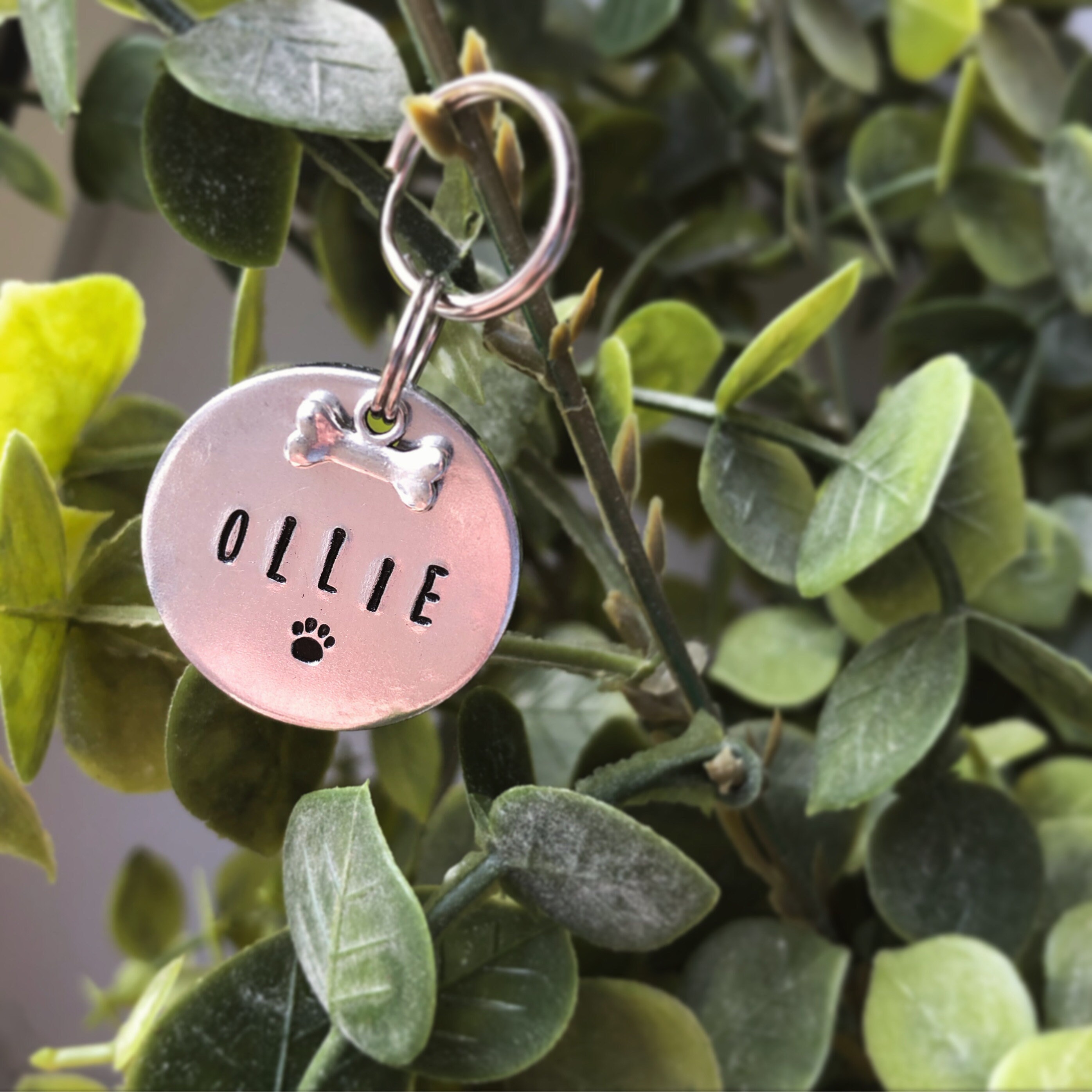 Personalised Dog Tags Custom Handstamp Aluminium Dog Tag Etsy UK