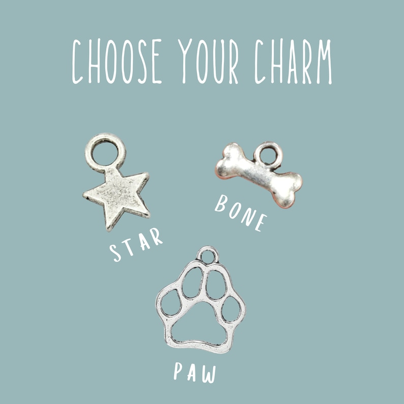 May include: Three silver charms for a necklace or bracelet. The charms are a star, a bone, and a paw print. The charms are on a light blue background with the words "Choose Your Charm" at the top and the words "Star", "Bone", and "Paw" underneath each charm.
