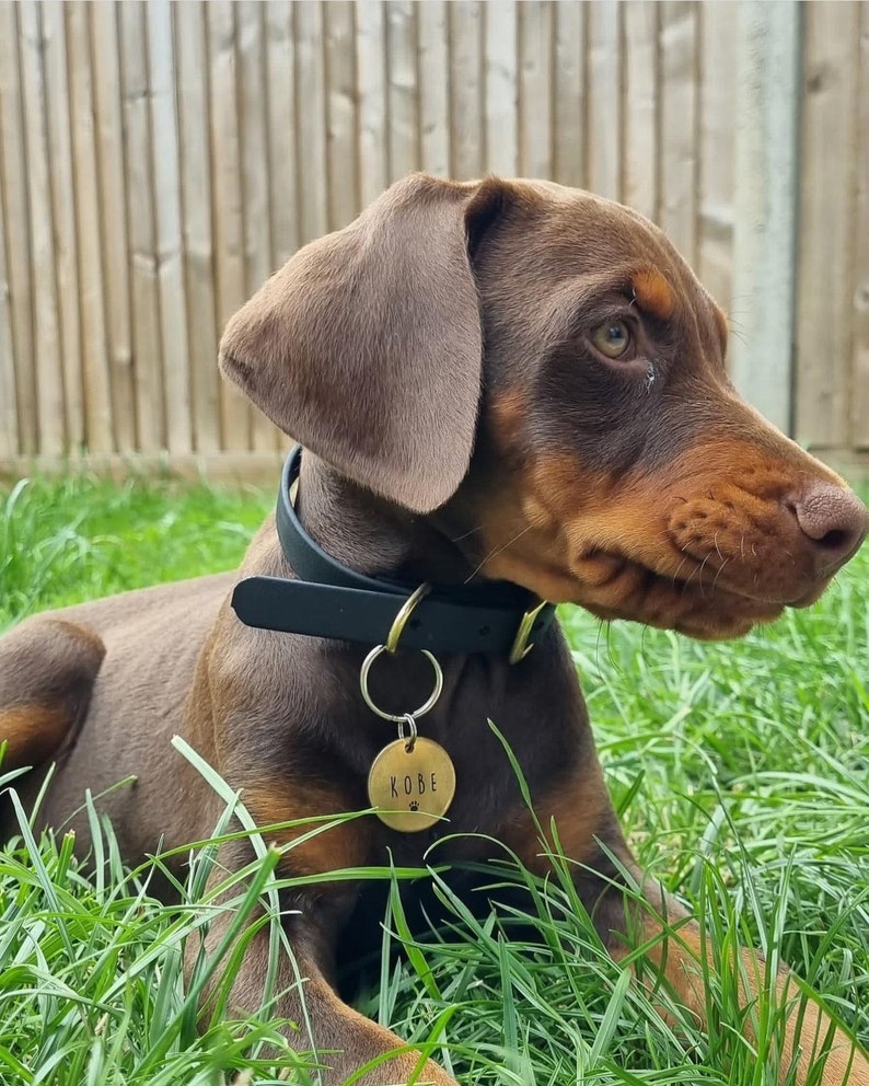 Custom Dog Tag Deep Engraved Brass Dog Tags image 5
