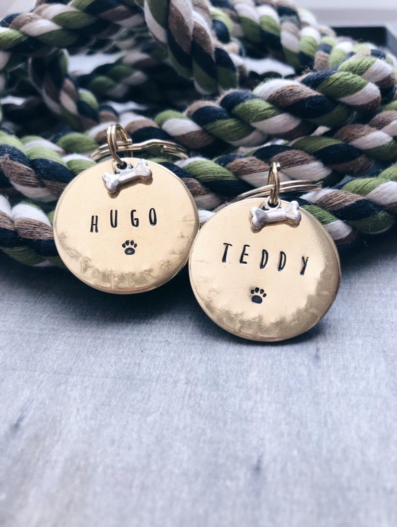 May include: Two gold dog tags with engraved names "Hugo" and "Teddy" and a paw print. The tags are attached to a green, white, and black rope.