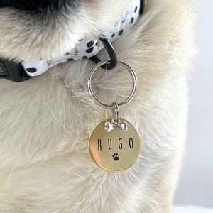 May include: A gold-colored dog tag with the name "HUGO" engraved on it. The tag has a bone and paw print design.