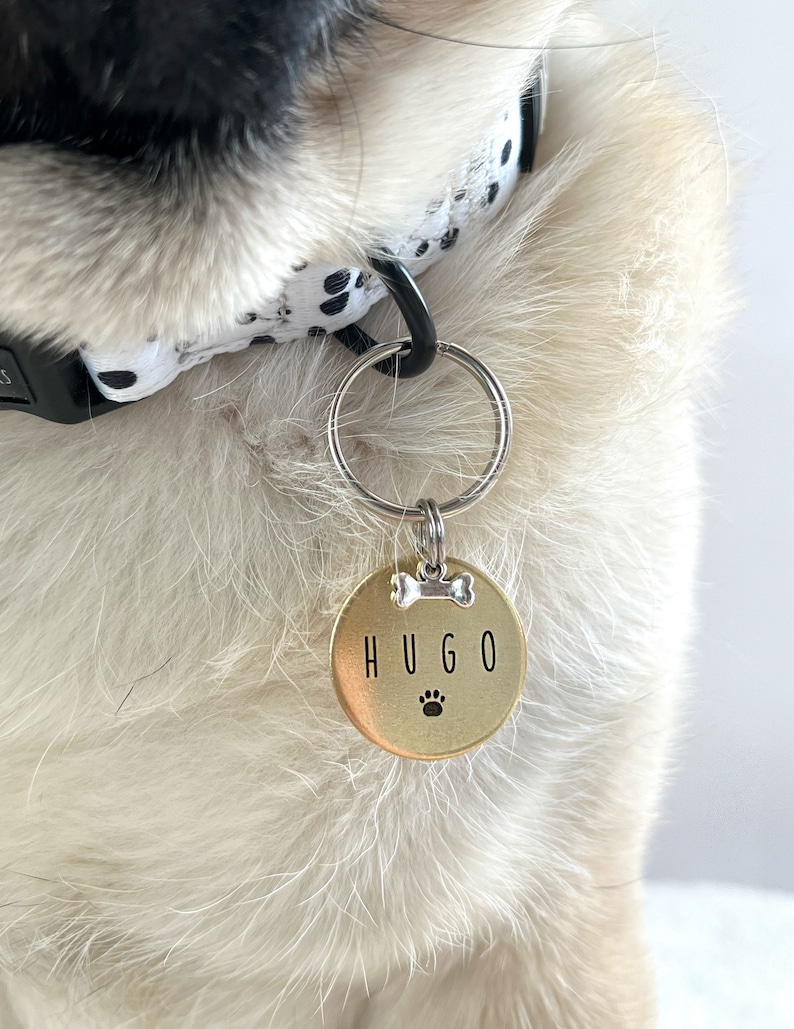 May include: A gold-colored dog tag with the name "HUGO" engraved on it. The tag has a bone and paw print design.