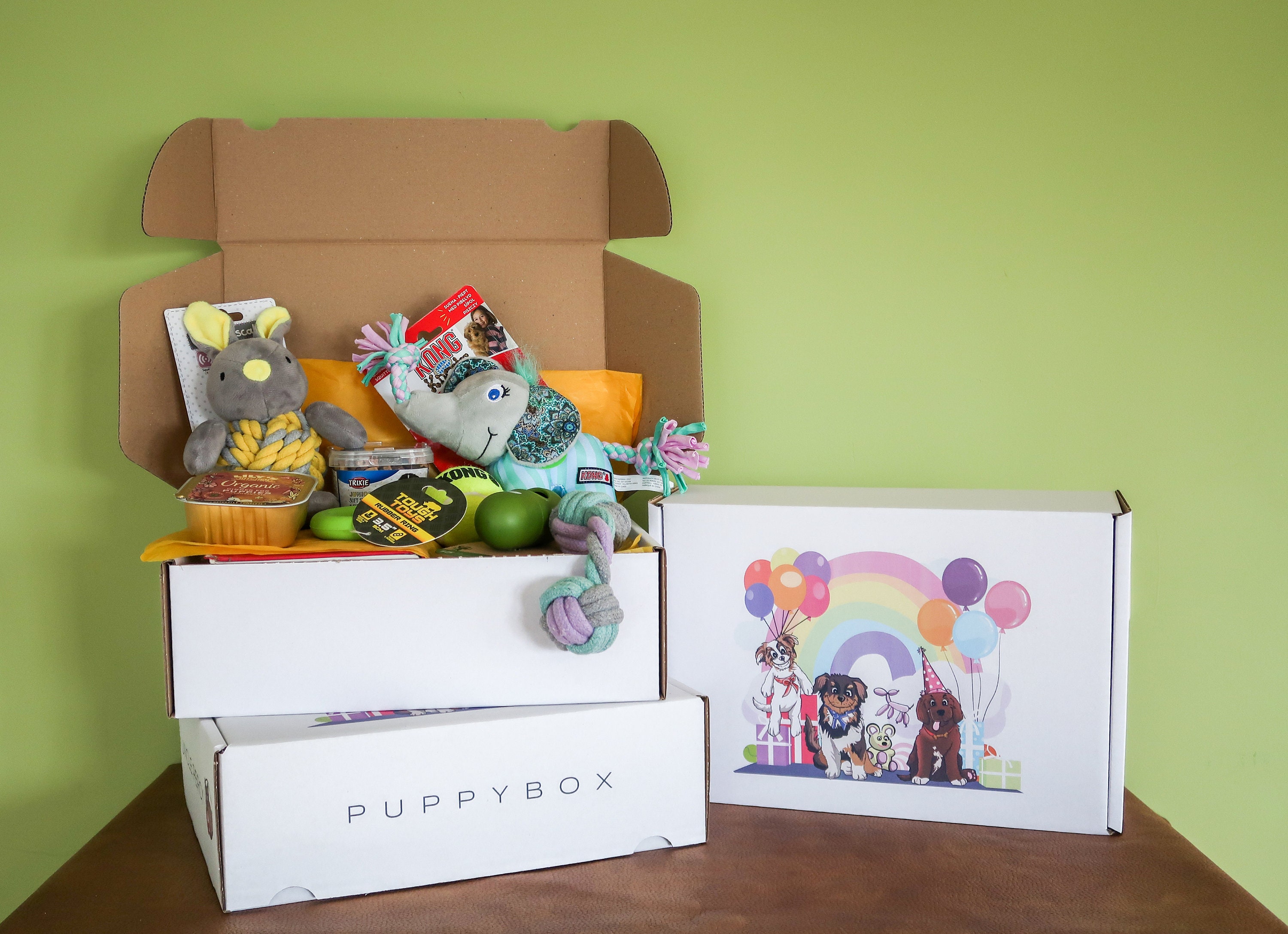 puppy in a box toy