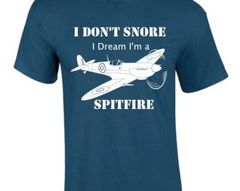 I dream I'm a Spitfire