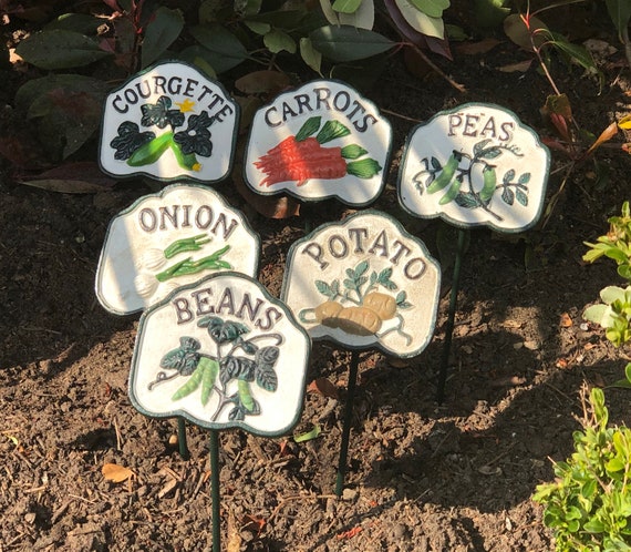 50 Etichette Per Piante In Legno Di Betulla Biodegradabili - 15x1,8 Cm, Pennarelli Per Giardino, Interni/Esterni