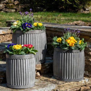 Peut inclure: Trois jardinières en métal galvanisé remplies de fleurs colorées. Les jardinières sont cylindriques avec des détails verticaux côtelés. Les fleurs comprennent des fleurs jaunes, violettes et rouges, avec un feuillage vert. Les jardinières sont disposées sur une surface en pierre.