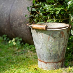 Peut inclure: Un seau en métal vieilli avec une poignée en bois et un bord rouillé. Le seau est posé sur de l'herbe verte, avec un arrière-plan flou de feuillage et un grand récipient en métal sombre.