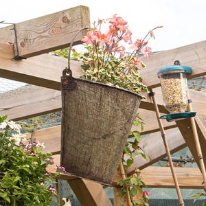 Peut inclure: Un seau en métal vieilli rempli de plantes à fleurs roses et vertes est suspendu à une poutre en bois. Un distributeur de nourriture pour oiseaux avec un dessus et un plateau turquoise est monté sur un support en bois, rempli de graines.