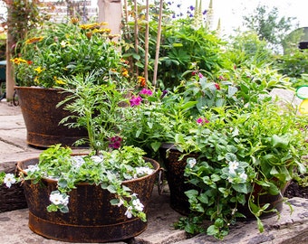 Set of Three Metal Garden Planters