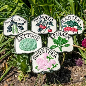 Seis marcadores para plantas de ensaladas y verduras (juego de seis)