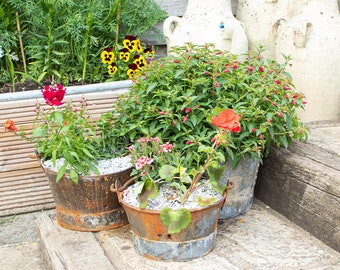 Three Vintage Metal Planters