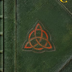 Il libro delle ombre incantato (8x10, copertina rigida opaca)