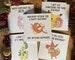 Pokemon Birthday Cards // Pokemon Puns - Handmade - Blank Inside - Birthday Cards - Pikachu - Mew - Magikarp - Bayleef - Eevee - Puns 