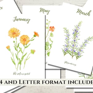 Botanical Agenda Monthly Cover Pages. Printable Monthly Planner Covers. Journal Dividers A4 and Letter Format. Instant Download PDF File