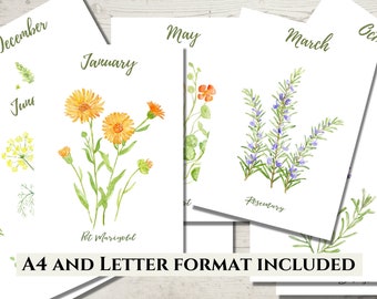 May include: Printable cards featuring watercolor illustrations of flowers and herbs for each month of the year. The cards include the names of the plants, such as "Pot Marigold" and "Rosemary". The text "A4 and Letter Format Included" is at the bottom of the image.