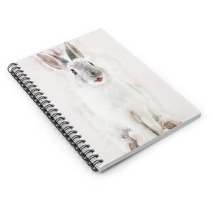 May include: A white rabbit with gray ears and a pink nose sits on a white background. The rabbit is looking directly at the camera with its mouth slightly open.