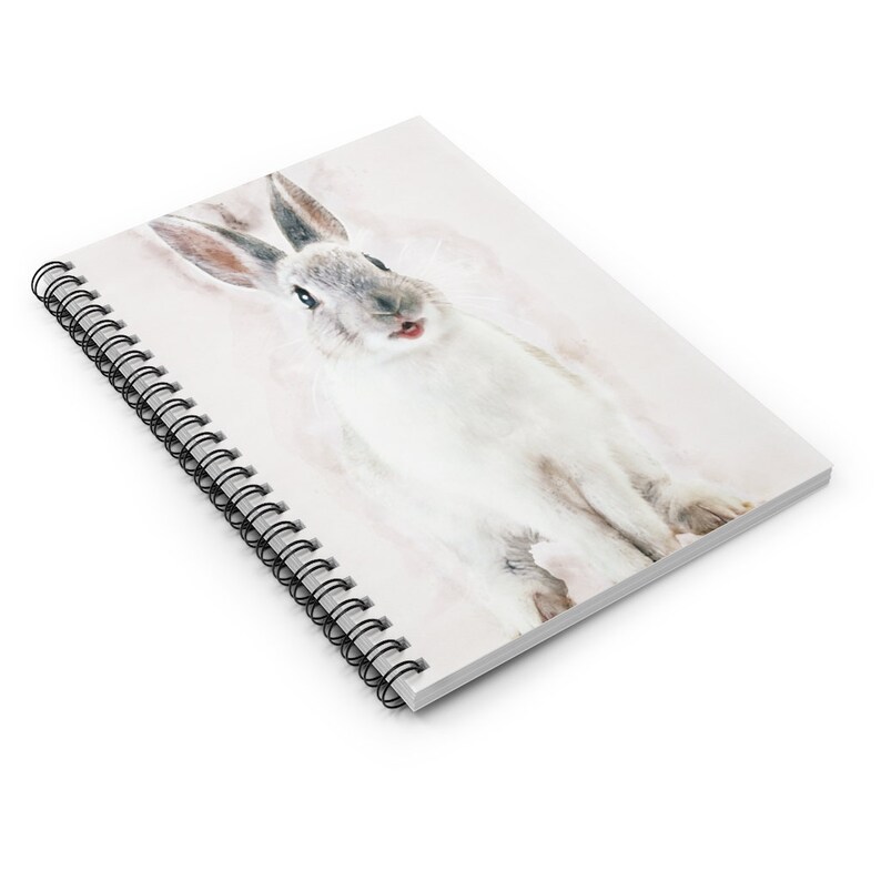 May include: A white rabbit with gray ears and a pink nose sits on a white background. The rabbit is looking directly at the camera with its mouth slightly open.