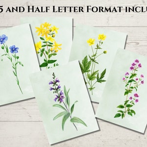 5 copertine floreali stampabili per agenda formato A5 e mezza lettera. Pagine di copertina dell'agenda botanica. Divisori per agenda A5. Copertine per notebook stampabili