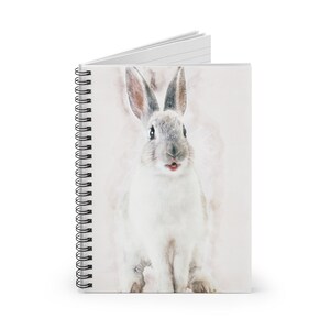 May include: A white rabbit with gray markings on its face and ears, sitting on a pink watercolor background. The rabbit has a surprised expression and its mouth is slightly open.