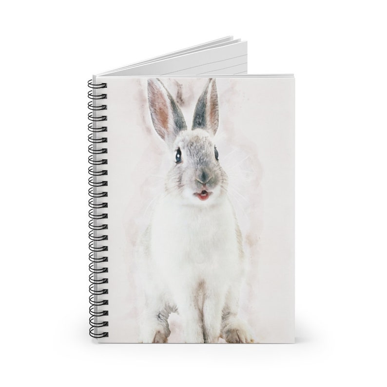 May include: A white rabbit with gray markings on its face and ears, sitting on a pink watercolor background. The rabbit has a surprised expression and its mouth is slightly open.
