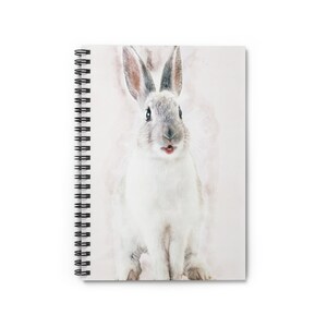 May include: A white rabbit with gray ears and a pink nose sits on a white background. The rabbit has a surprised expression on its face and its mouth is slightly open.