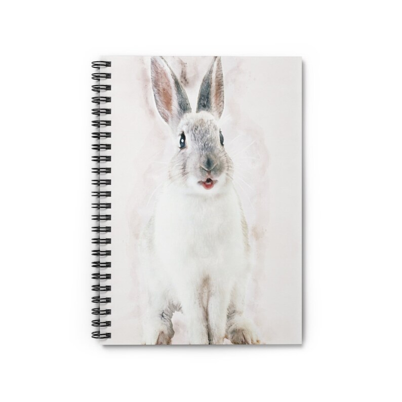 May include: A white rabbit with gray ears and a pink nose sits on a white background. The rabbit has a surprised expression on its face and its mouth is slightly open.
