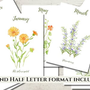 Le planificateur mensuel imprimable floral couvre le format A5 et demi-lettre. Pages de couverture mensuelles de l'agenda botanique. Encart planificateur A5
